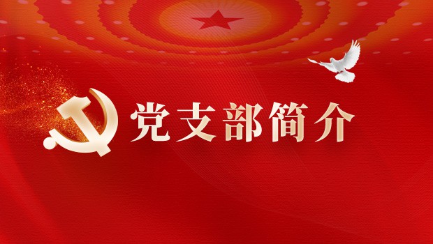 甘肃正鼎律师事务所党支部简介